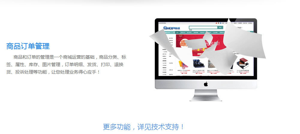 網上(shàng)商城網站建設