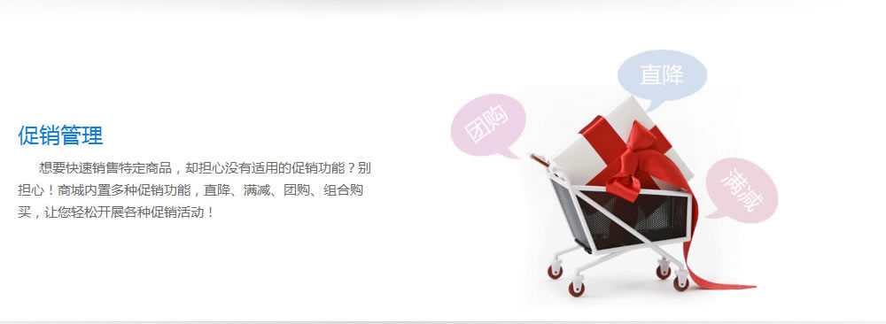 網上(shàng)商城網站建設