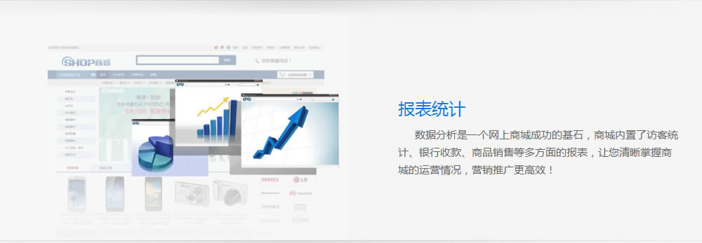 網上(shàng)商城網站建設