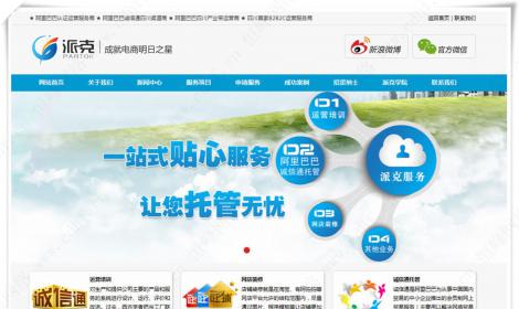 四川派克網絡科技有(yǒu)限公司