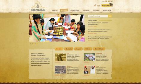 印度firdesigner網頁作品集4