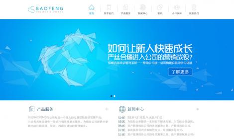 高(gāo)端大(dà)氣平面化風格網站欣賞