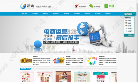 四川派克網絡科技有(yǒu)限公司