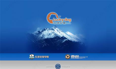 成都(dōu)樂(yuè)琪寵物(wù)用(yòng)品有(yǒu)限公司