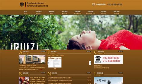 食品養生類企業(yè)公司