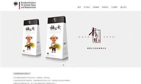 品牌廣告網絡設計(jì)類企業(yè)公司網站