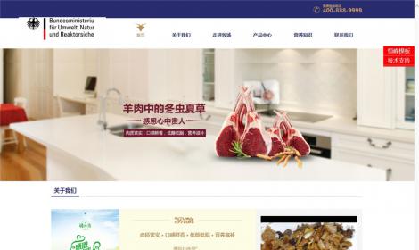 226簡潔大(dà)氣食品餐飲行(xíng)業(yè)企業(yè)公司恒峰模闆