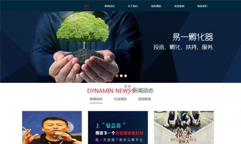 542金(jīn)融基金(jīn)黃(huáng)金(jīn)投資類網站模闆